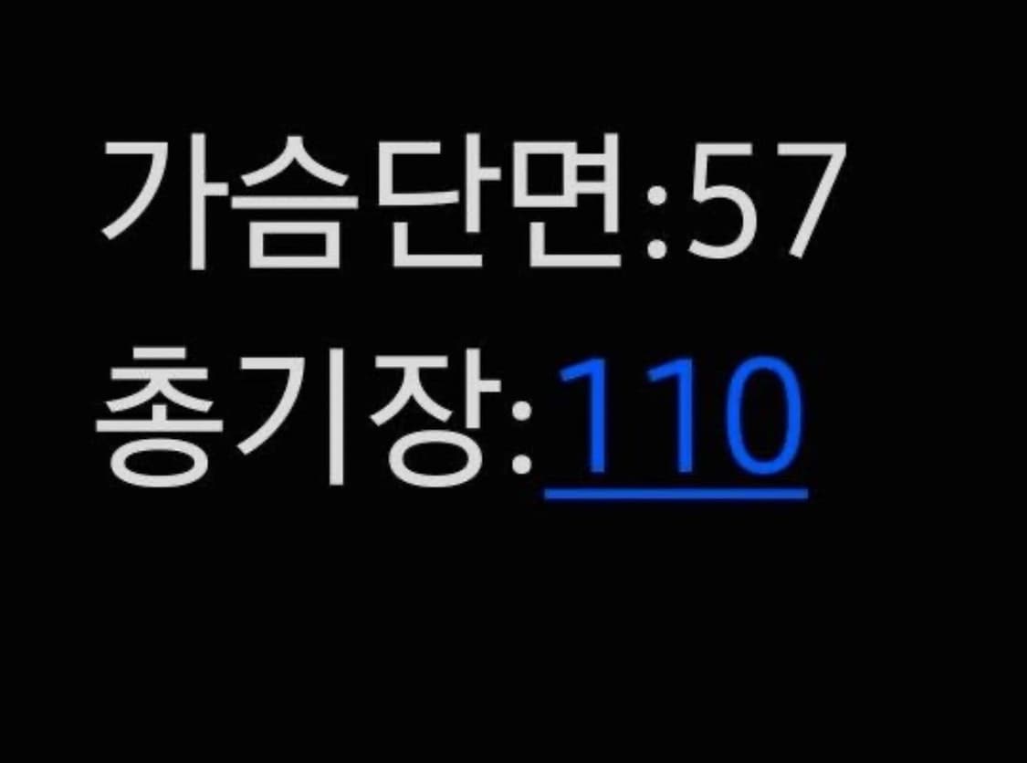 [정품/M] 나이키 여성 덕다운 롱패딩 상품이미지6