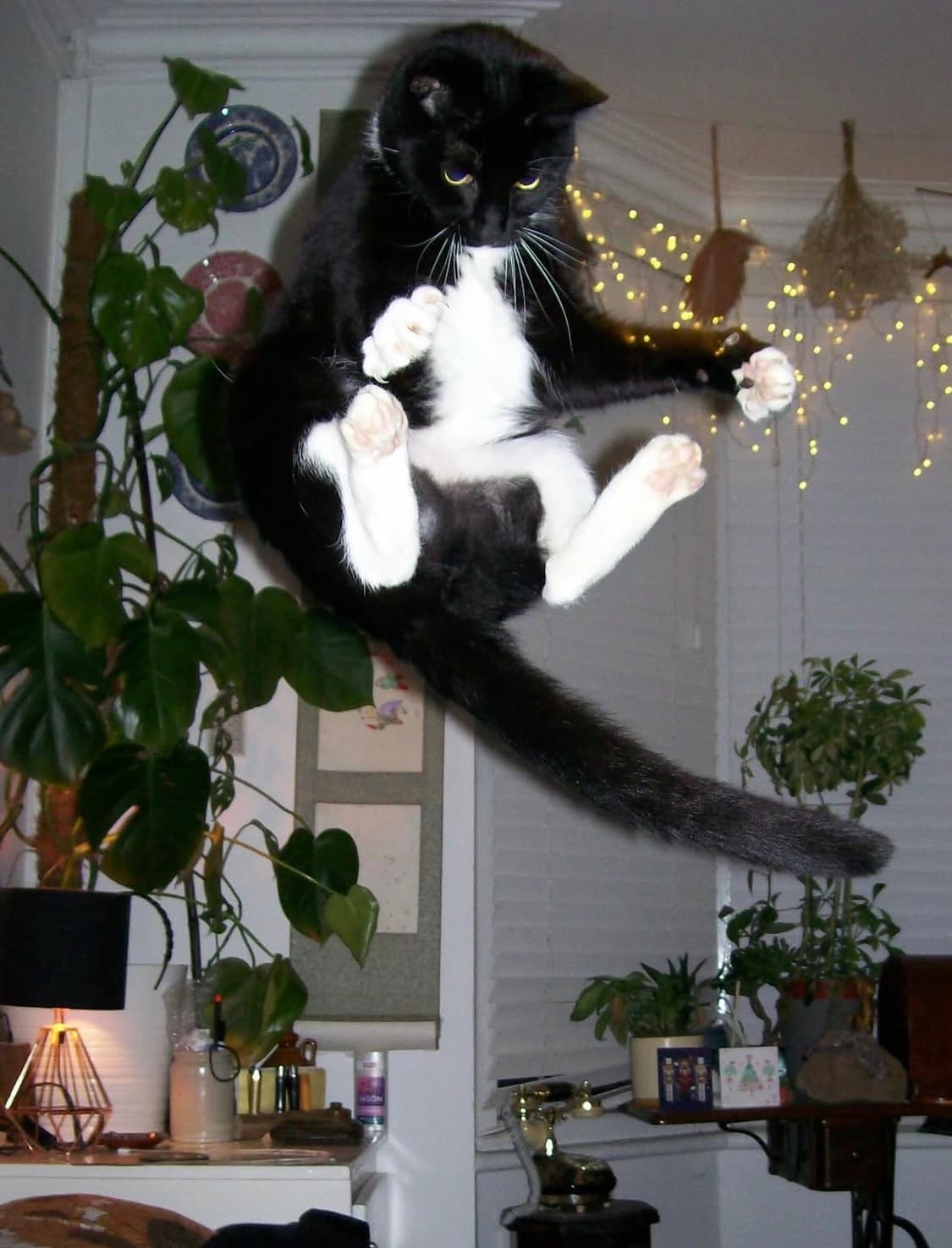 코닥 이지쉐어 m753 디지털카메라 상품이미지9