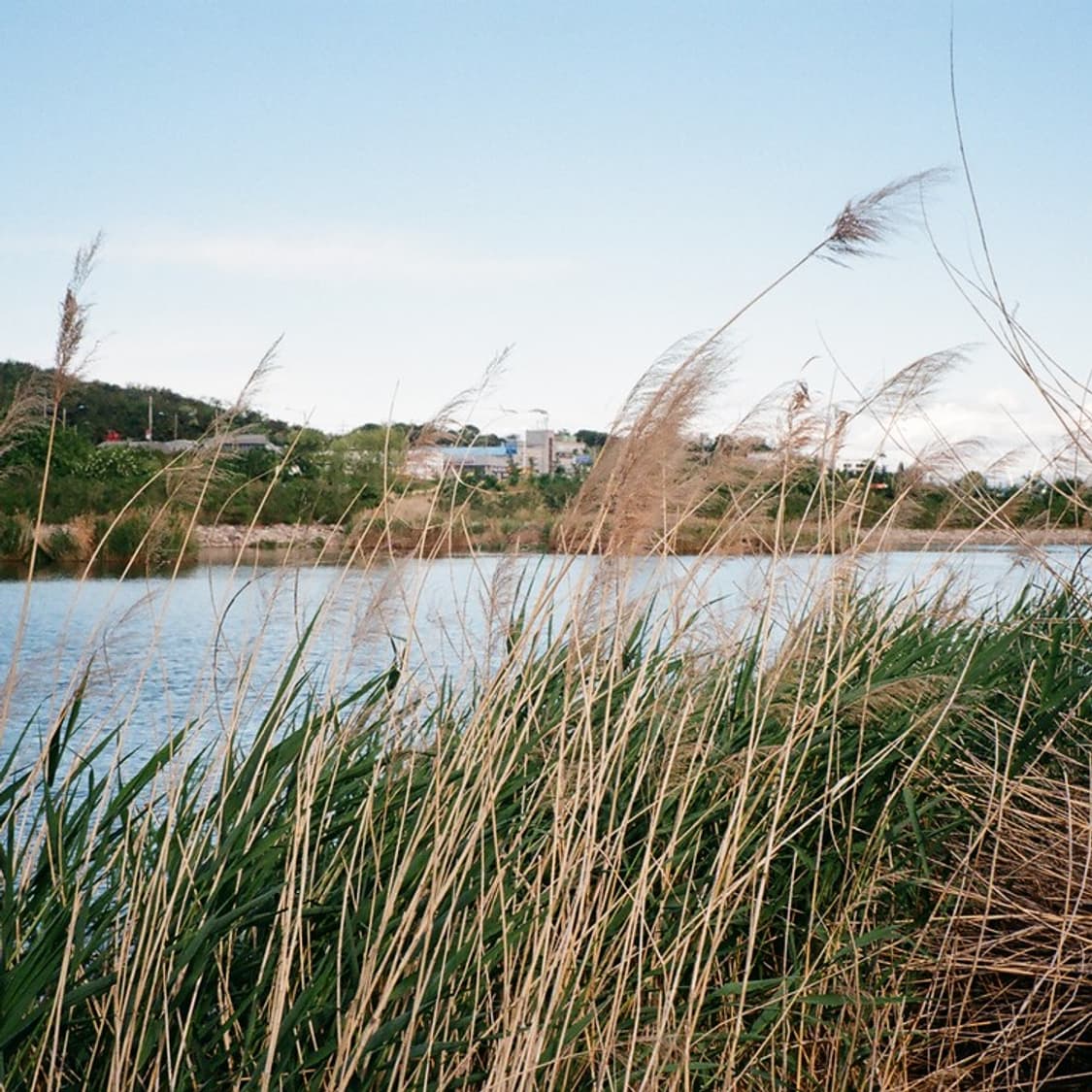 펜탁스 에스피오espio 90mc 필름 카메라 (빈티지 카메라) 상품이미지8