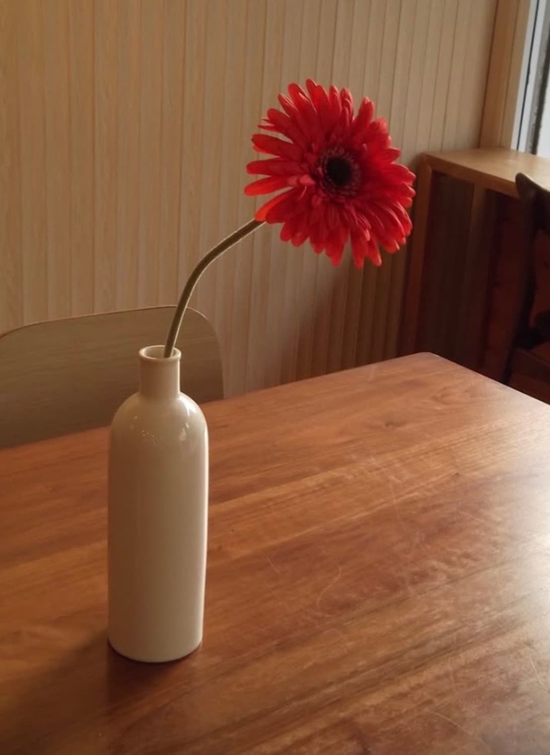 후지필름 JX280 레드 미사용 새상품 상품이미지7