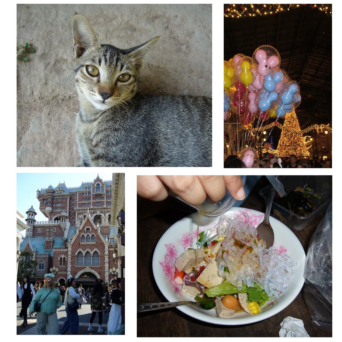 파나소닉 루믹스 dmc ls2 (작례 0 소프트스킨 0) 상품이미지4