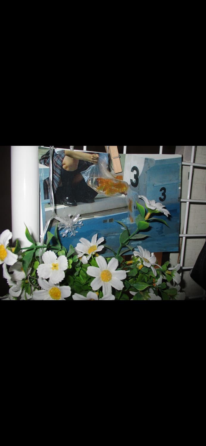 캐논 IXUS 185 / 슬림한 데일리 감성 디카 (ixy) 상품이미지2