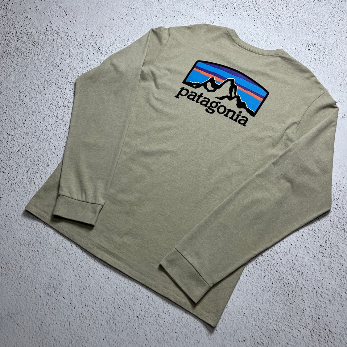 Patagonia Long-Sleeved P-6 Logo Tee 상품이미지5