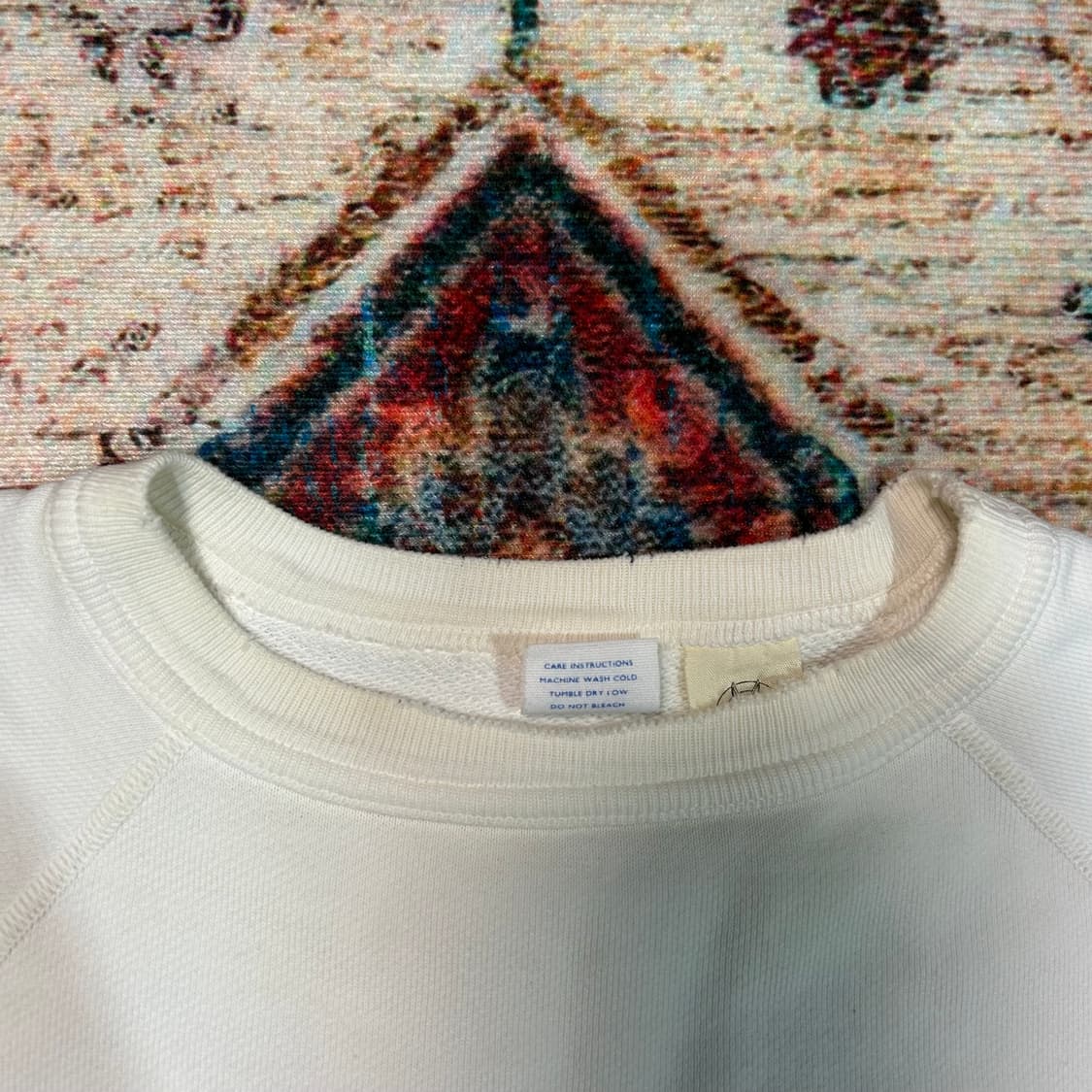 [L] 체스윅X워너브로스 로드러너 스웻셔츠 맨투맨 상품이미지7