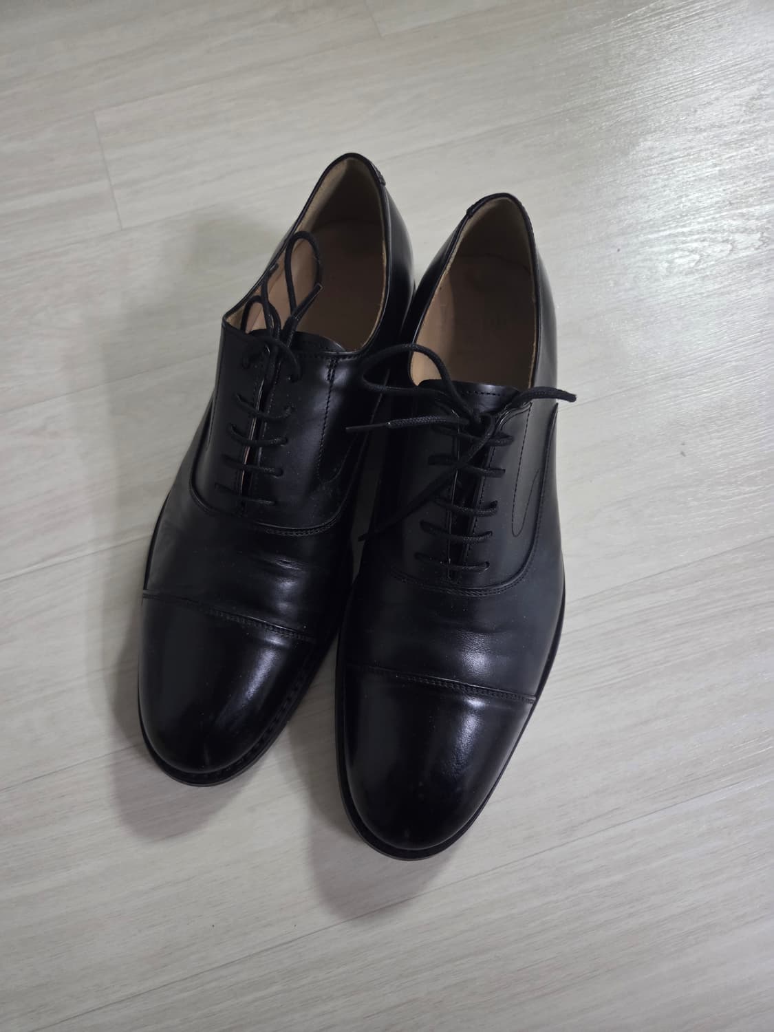 조셉트 옥스포드 1117 상품이미지1