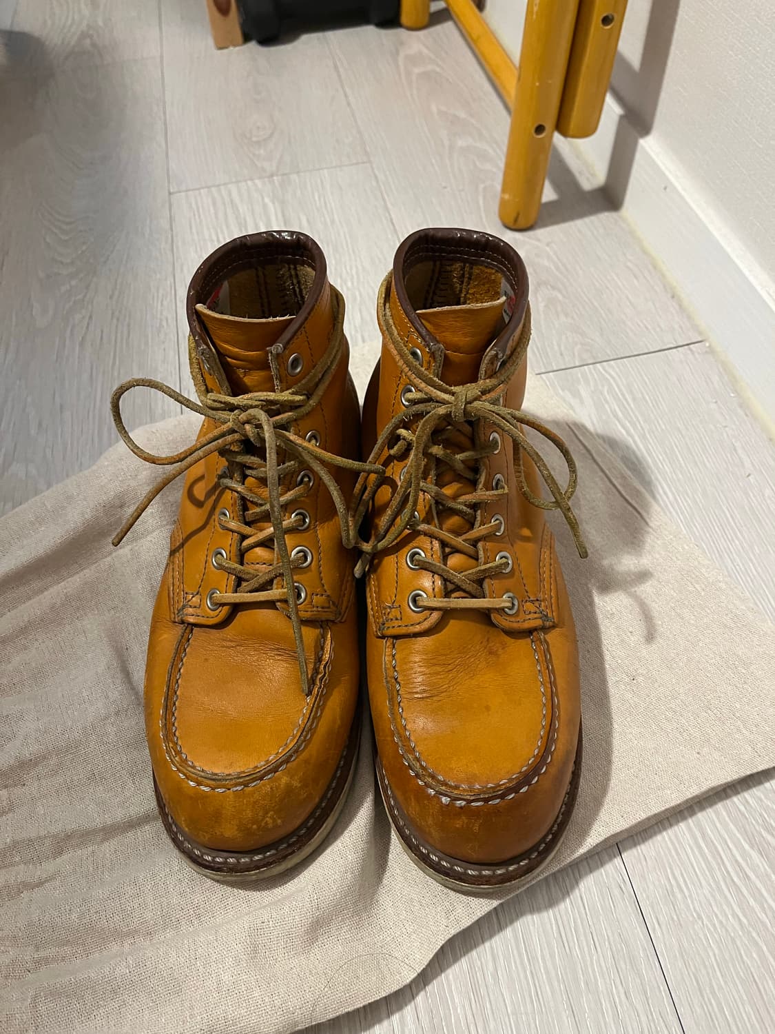 레드윙 아이리쉬세터 상품이미지3