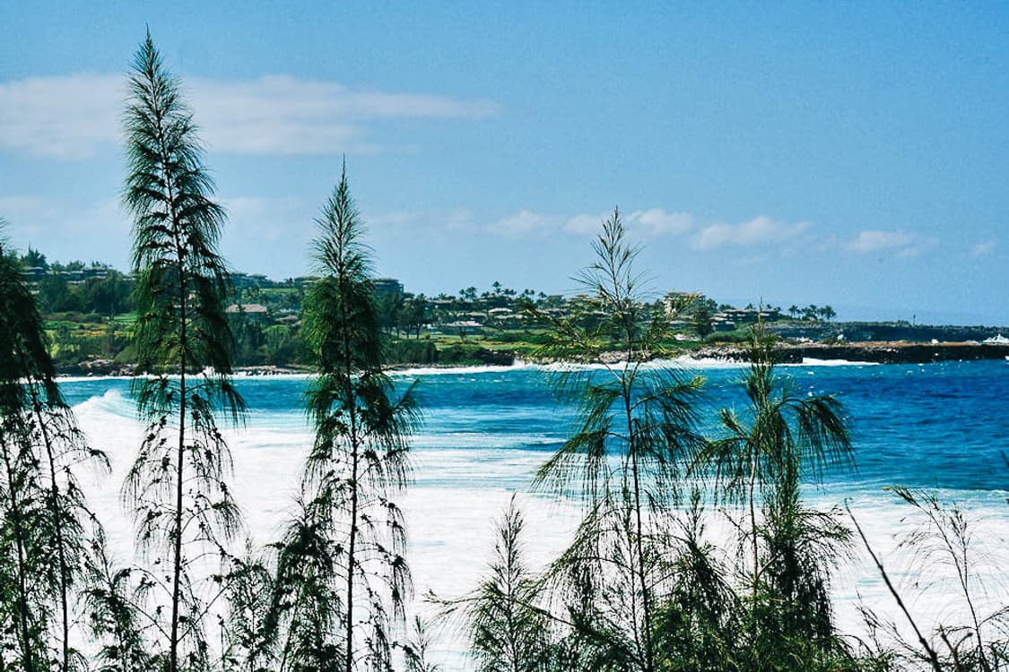 Sony Cybershot DSC-W320 (소니 사이버샷 W320) 상품이미지10