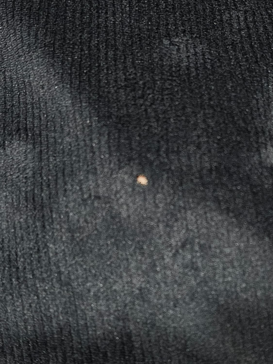 토미힐피거 후드티 상품이미지5