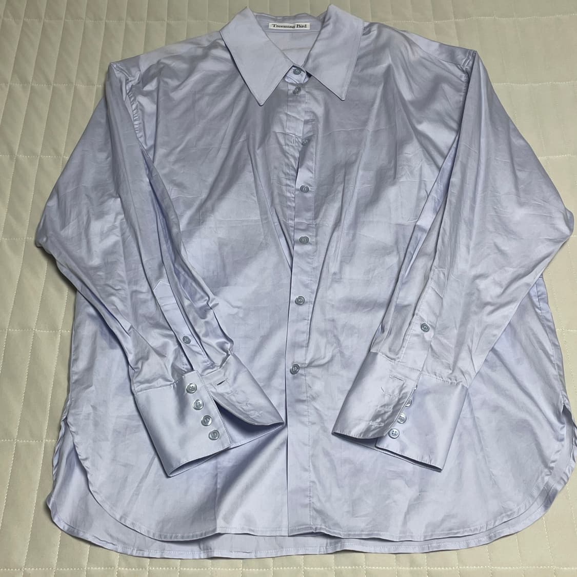 트리밍버드 베이직셔츠 스카이블루 상품이미지2