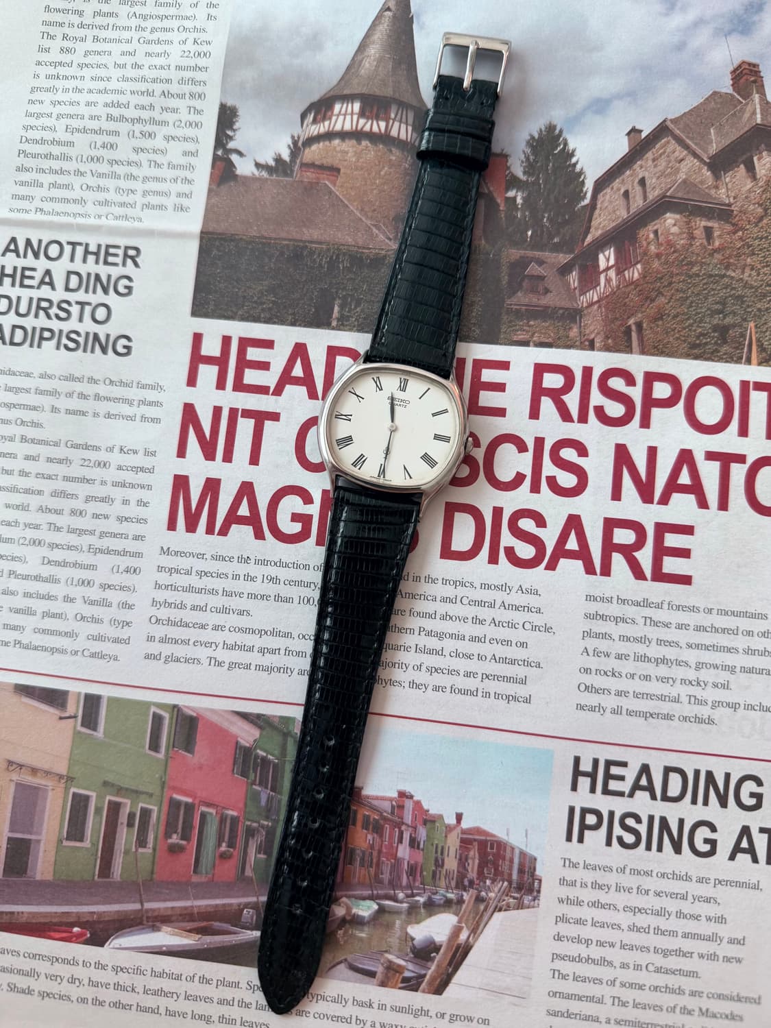 Seiko 세이코 Roman index  White Diel 상품이미지2