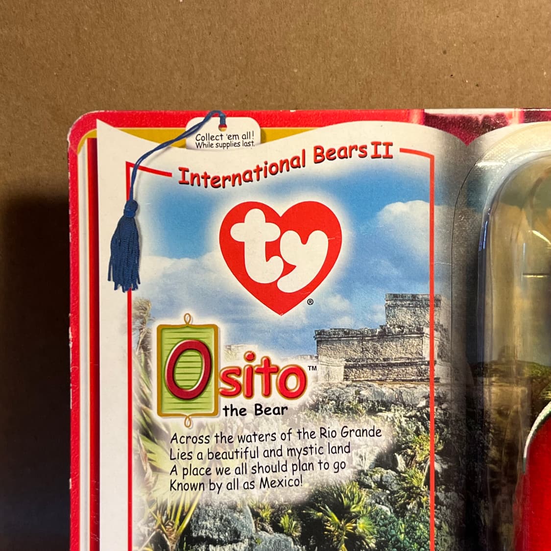 Ty베어 Osito the Bear 상품이미지4