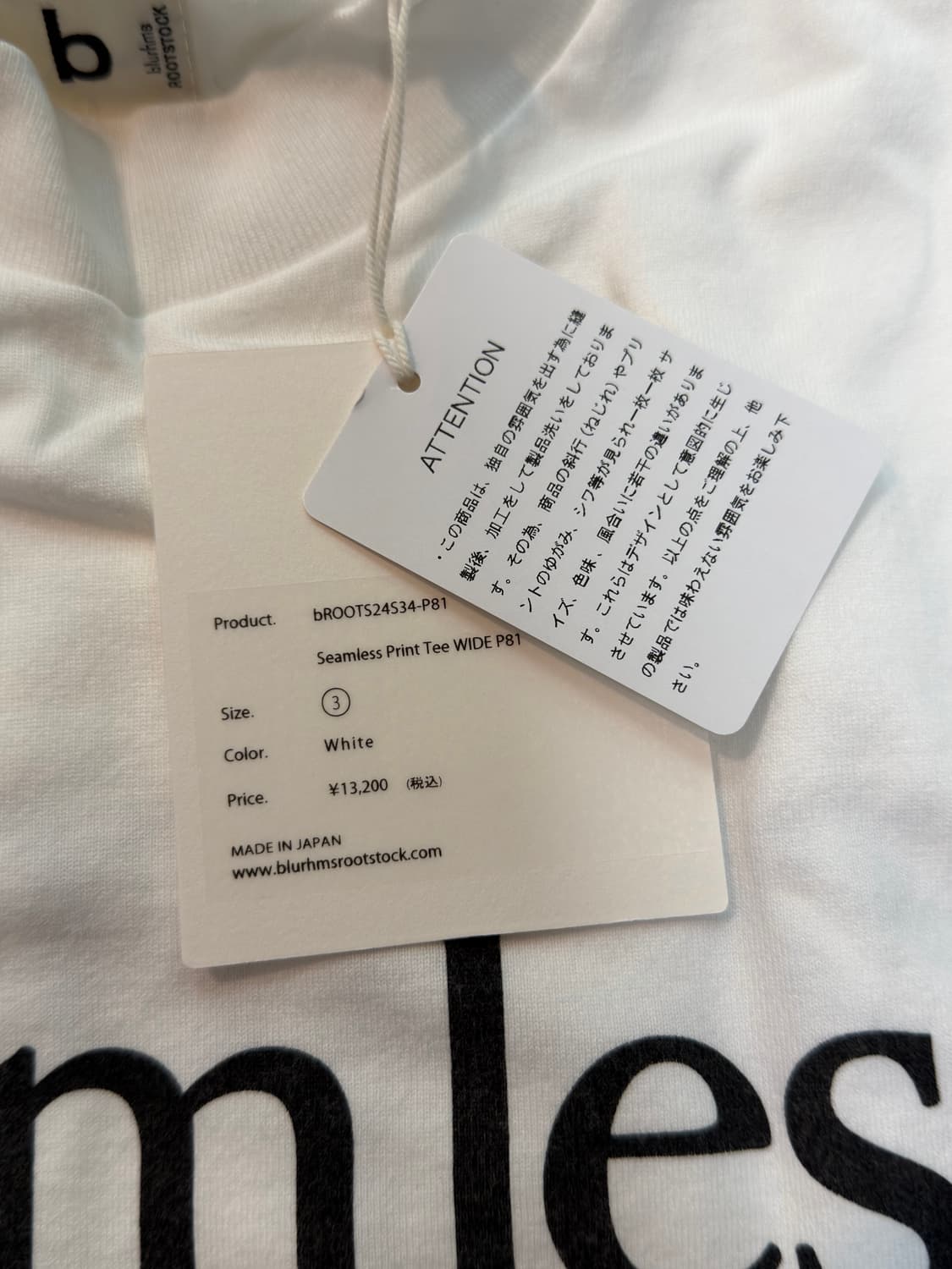BLURHMS ROOTSTOCK +81 별주 wide tee 상품이미지3