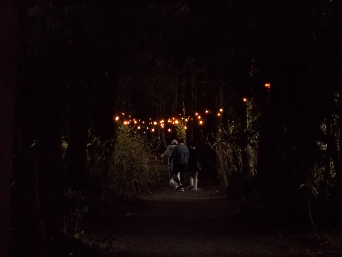 니콘 쿨픽스 S01 화이트 🤍 상품이미지8