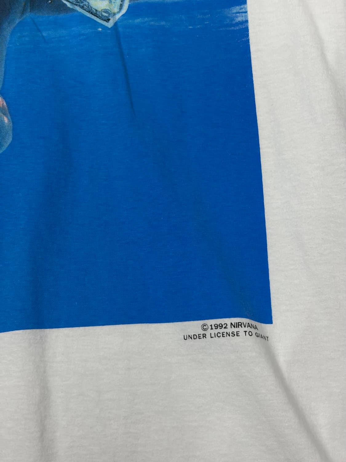 90s anvil tee on reprint NIRVANA 네버마인드 상품이미지5