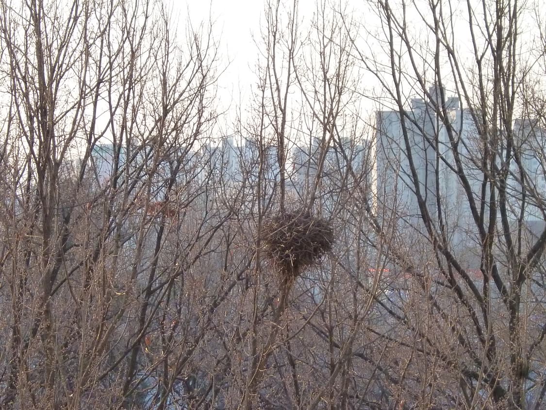 Panasonic Lumix DMC-FS40 (파나소닉 루믹스) 상품이미지10