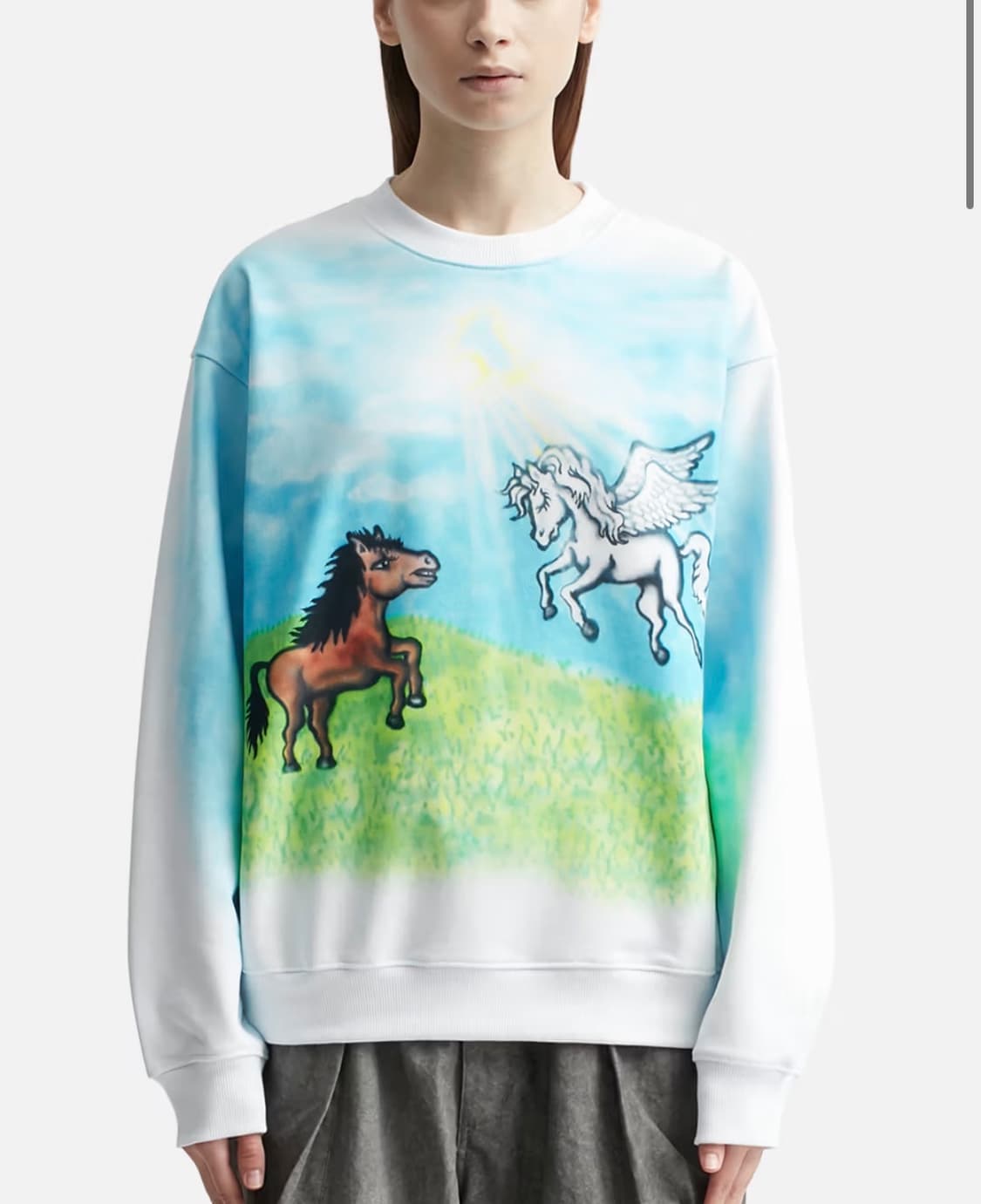 Sky high farm ally 스웻셔츠 상품이미지1