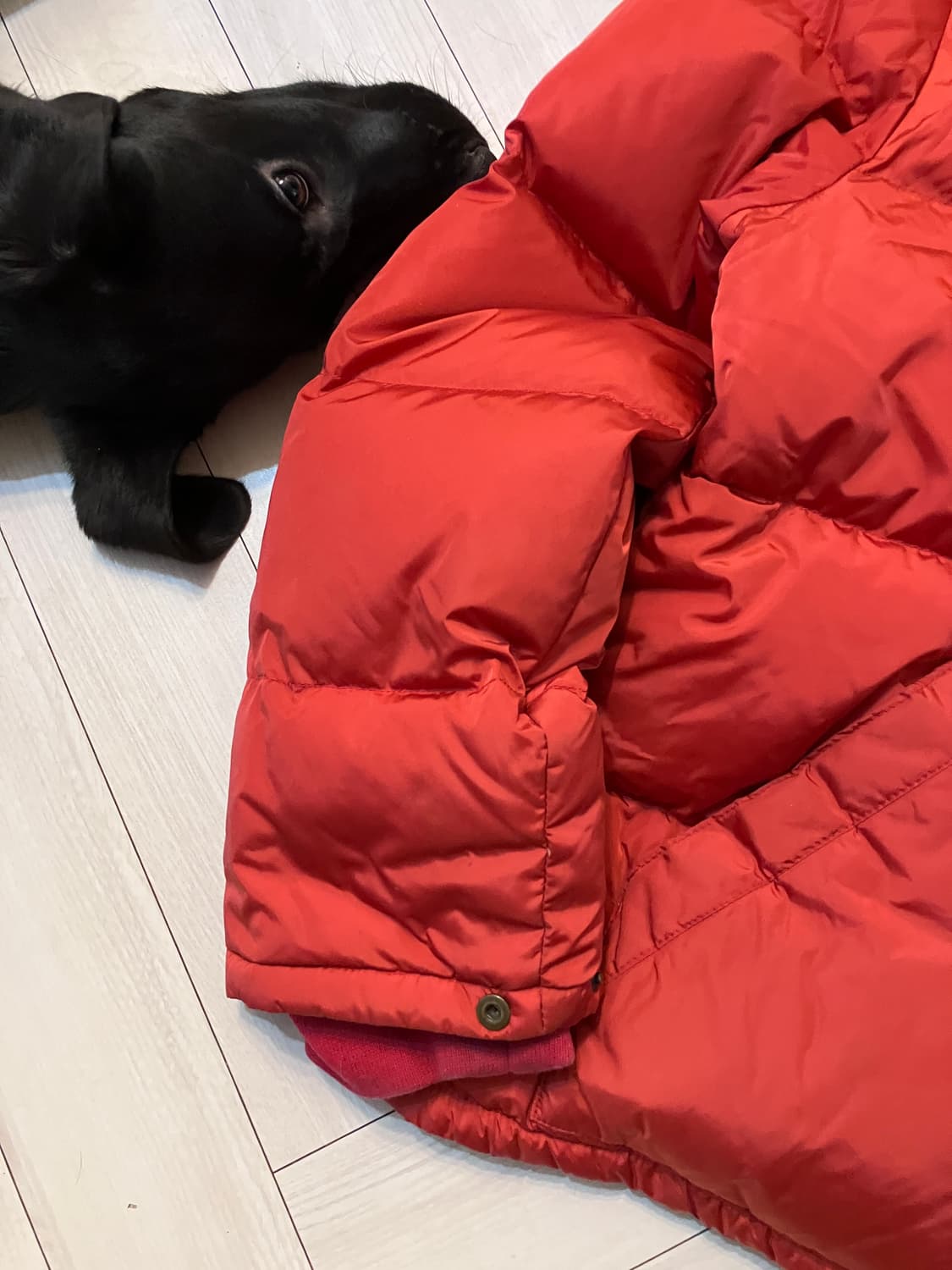 폴로랄프로렌 적다운 100~105 상품이미지9