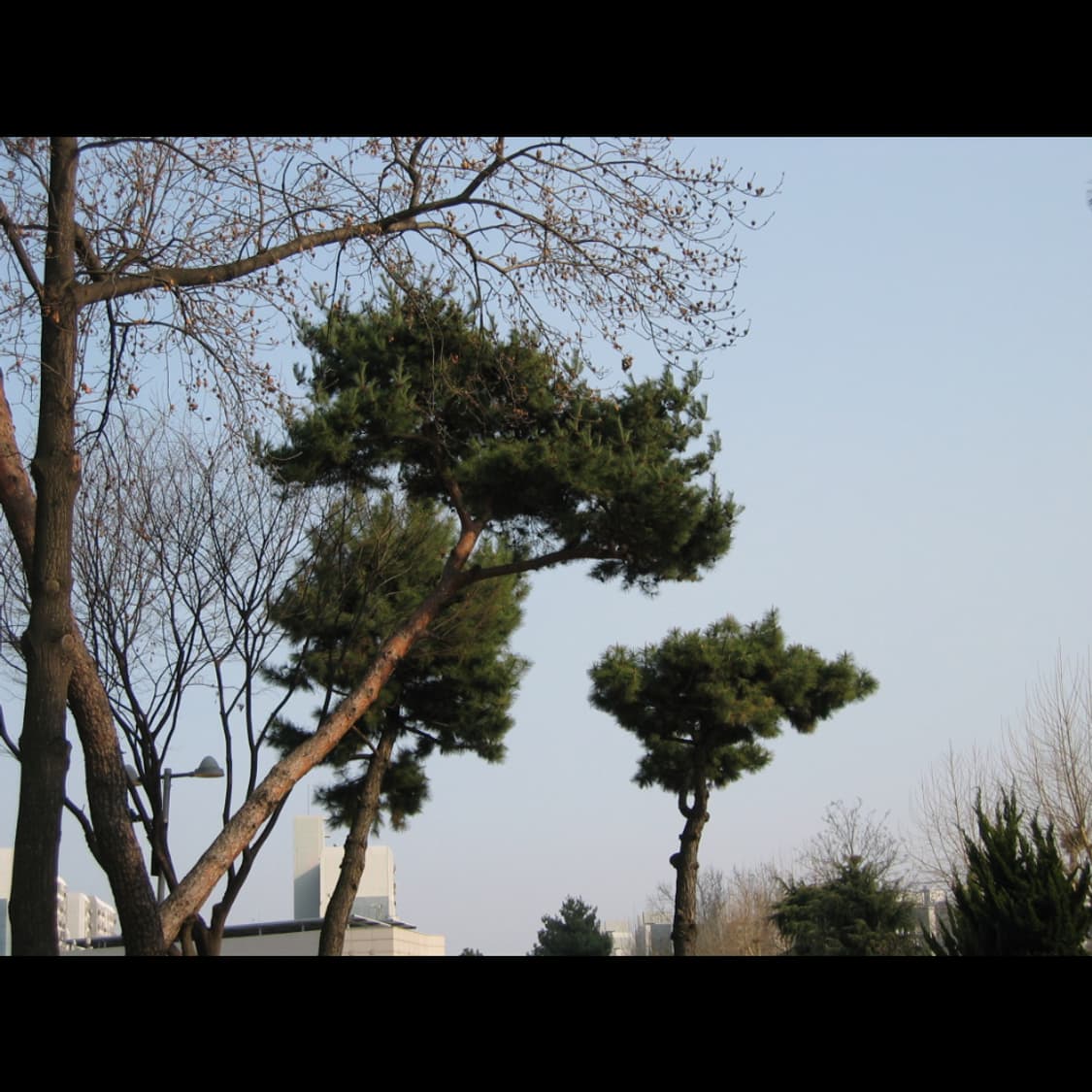 작례⭕️ 캐논 파워샷 S45 상품이미지9