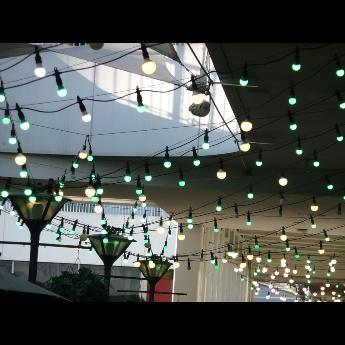  작례⭕️ 파나소닉 루믹스 DMC-TZ25 상품이미지7