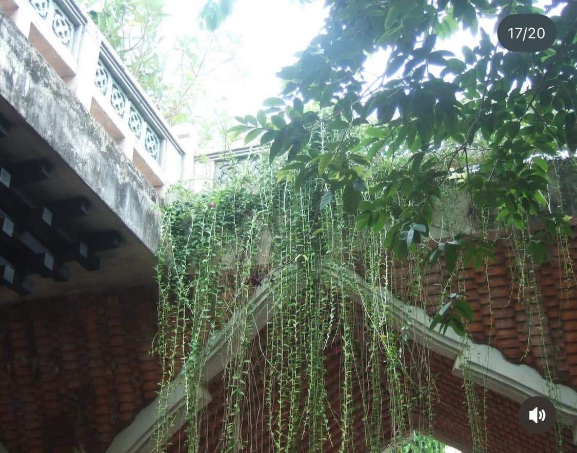 작례사진 O ) 후지 FinePix 2600Z 디지털 카메라 상품이미지3