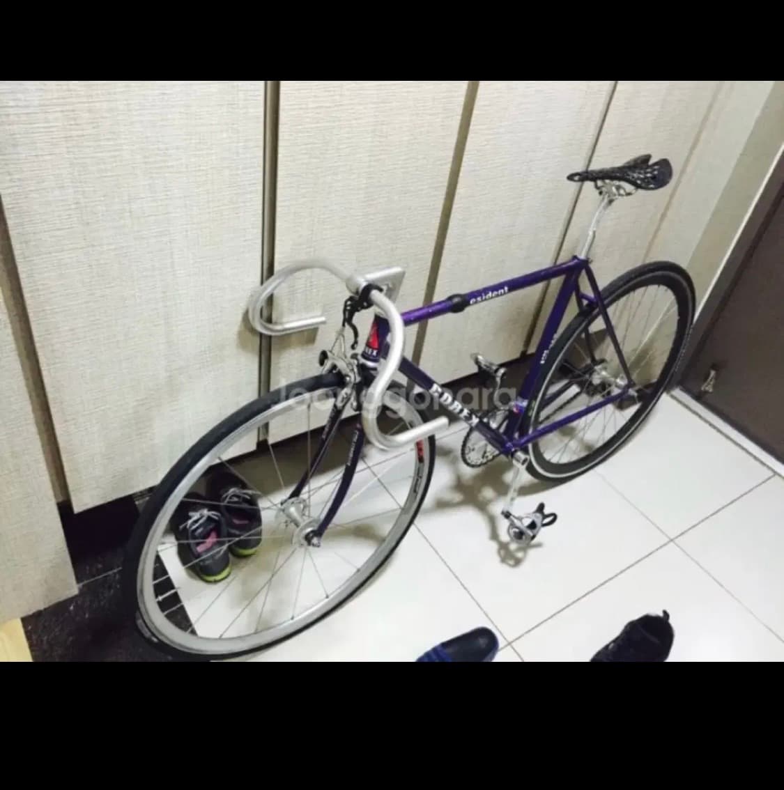 코렉스 프레지던트 12년식 52인치 상품이미지4