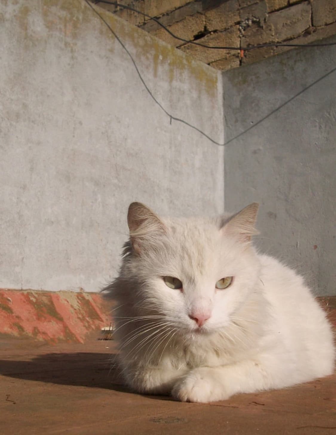 코닥 이지쉐어 m763 디지털카메라 상품이미지9