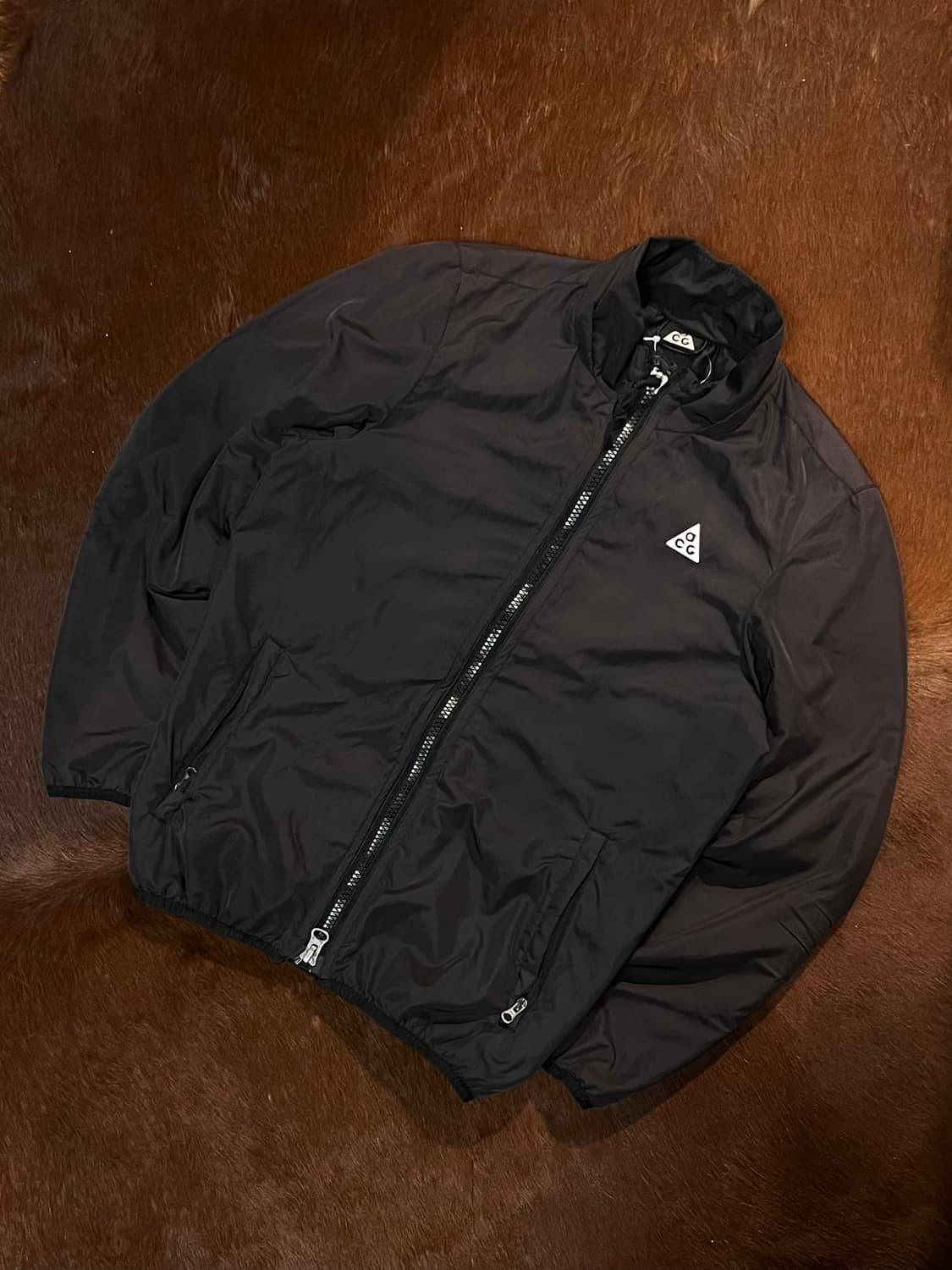 Nike ACG 로고 바람막이 상품이미지3