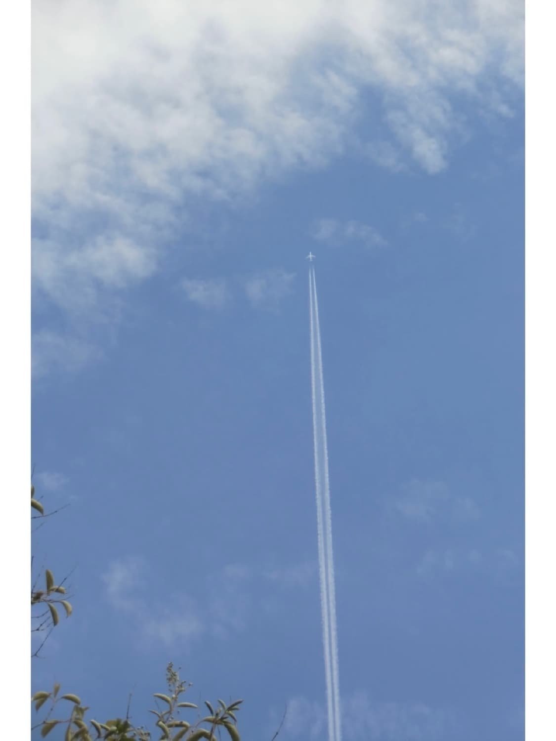 카시오 엑슬림 ZS160 | Casio Exilim EX-ZS160 15 상품이미지4