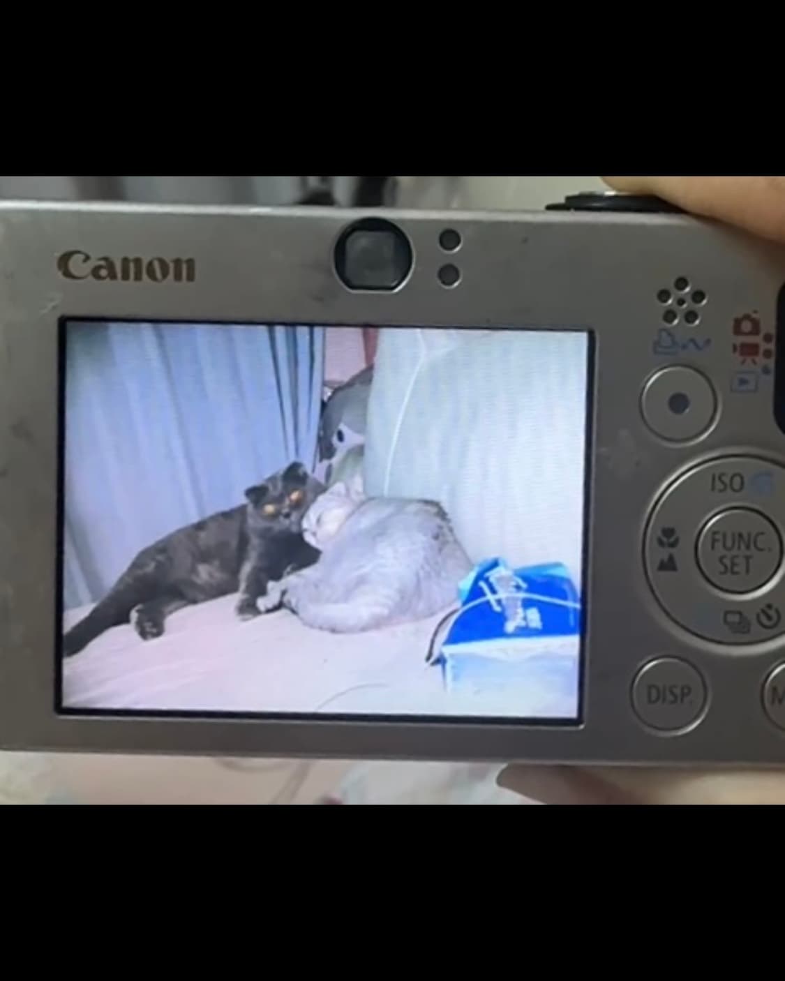 캐논 익서스 70 CANON IXUS 70 빈티지 디지털카메라 디카 상품이미지8