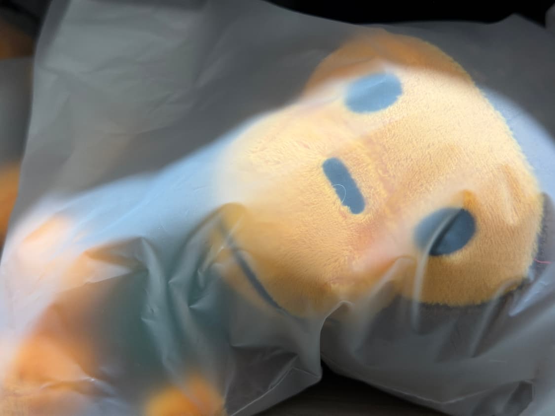 스타벅스 베이프 콜라보 폴더블백 키링 상품이미지5