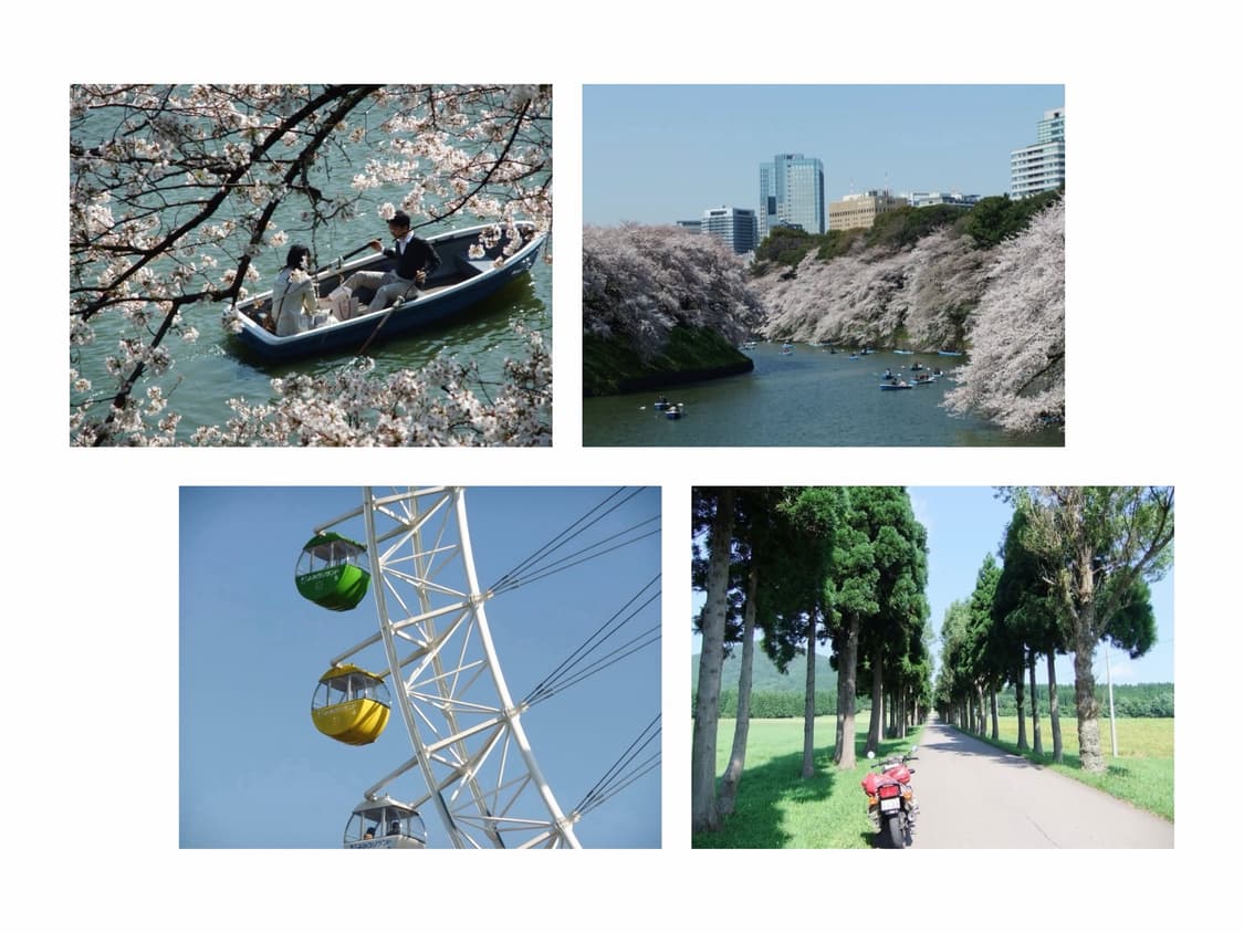 아일릿디카🧚‍♀️후지필름 FUJIFILM FinePix F70 EXR 상품이미지5
