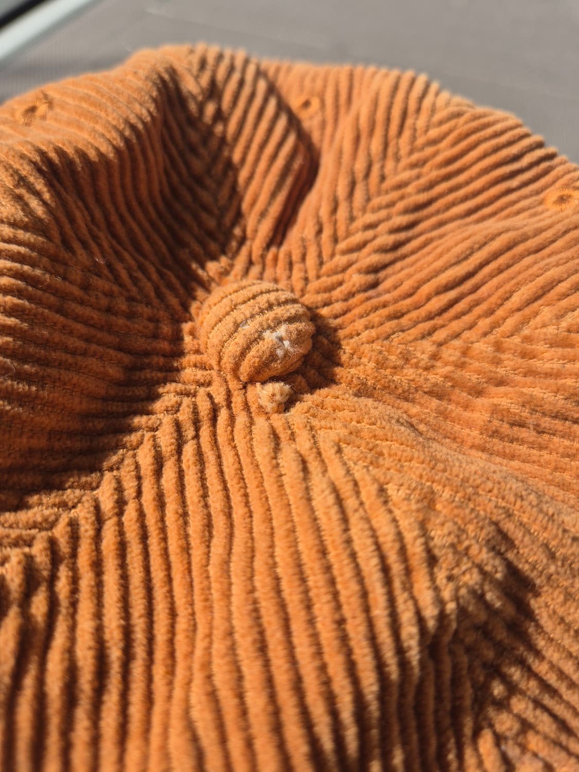 CAL O LINE Corduroy Cap 상품이미지6