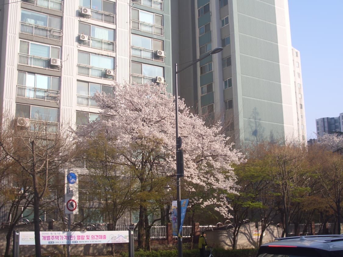찐빈티지!) 카시오 엑슬림 EX-Z57 디카 빈티지 캠코더 /캐논 상품이미지5