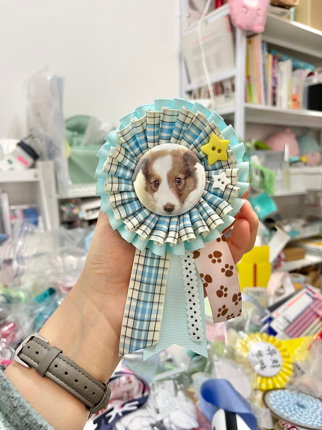 쭈굴강쥐 로제트 🐶 상품이미지1