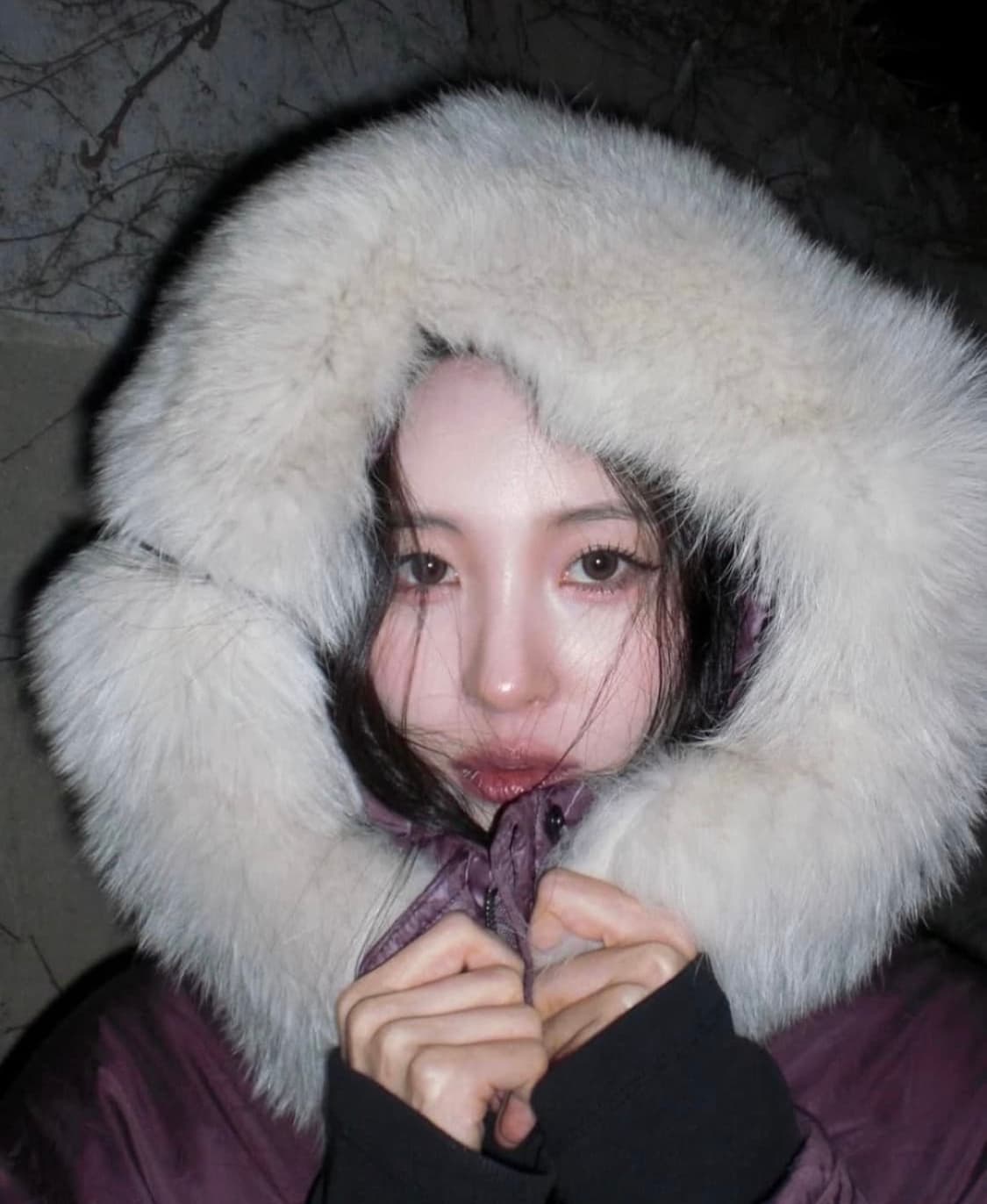 카시오 엑슬림 ex-z80 토모토모 유인 카리나 선미 디카 (한국어지원) 상품이미지10