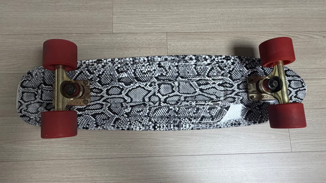 25인치 다이아몬드 서플라이 라이프 크루저 상품이미지5