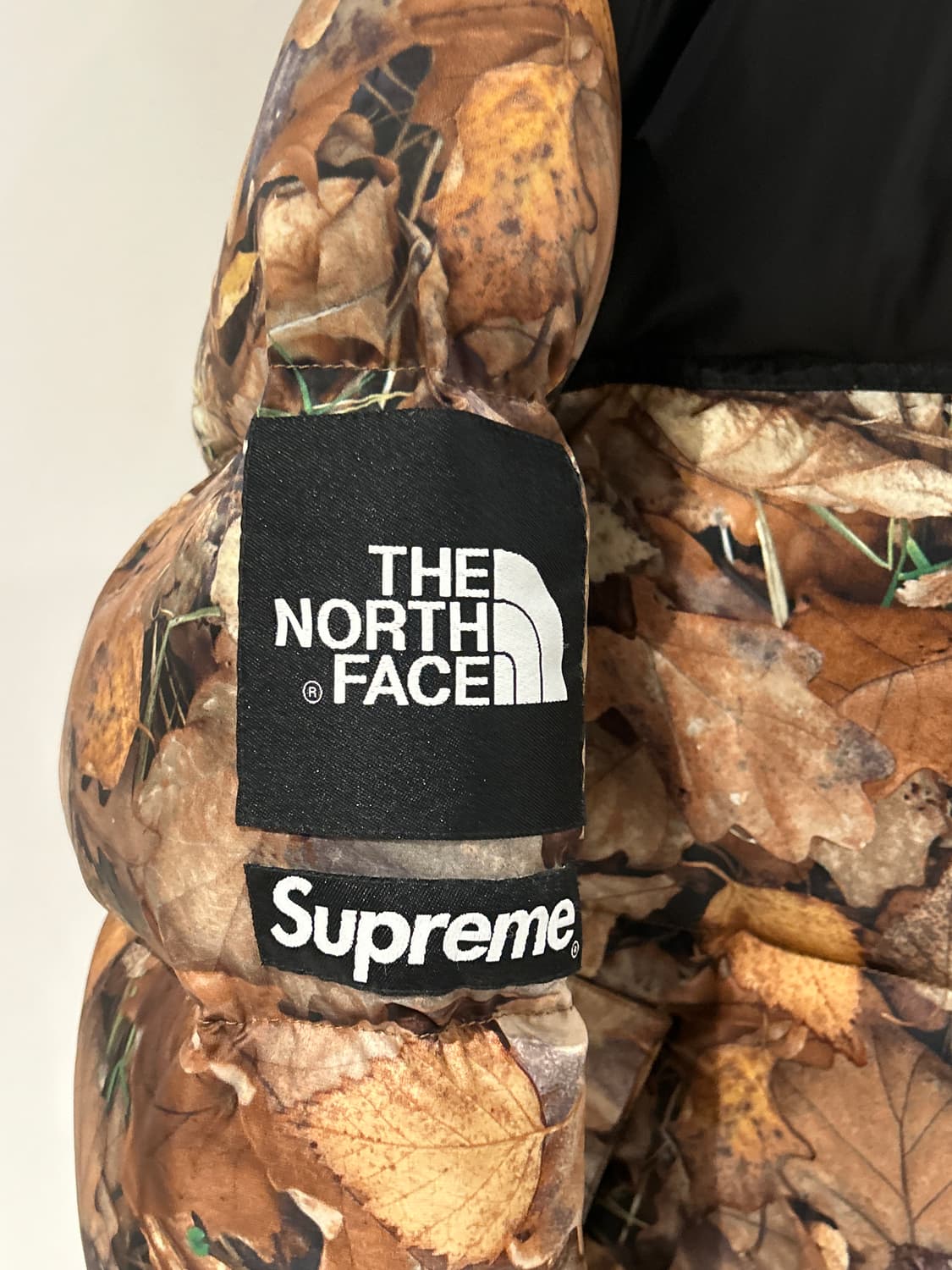 Supreme x The North Face Nuptse 상품이미지2