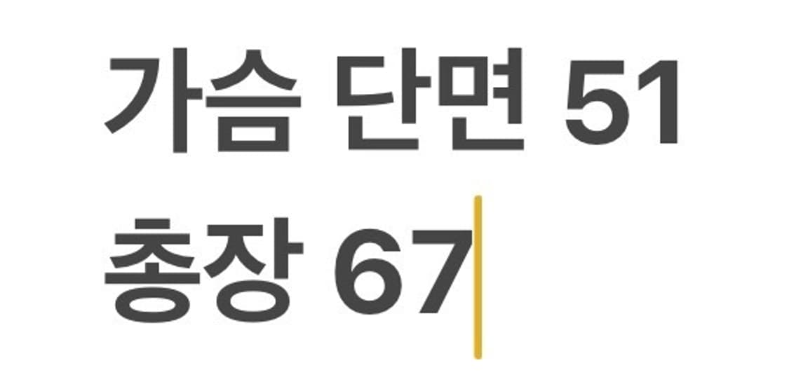 [정품/95] 데상트 브리티시 트라이애슬론 집업 자켓 b13 상품이미지10