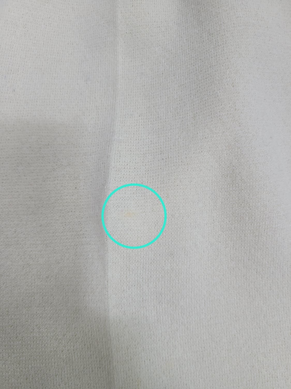 PRENDANG 쁘렝땅 울 와이드 밴딩 팬츠 / 여 67 아이보리 상품이미지6