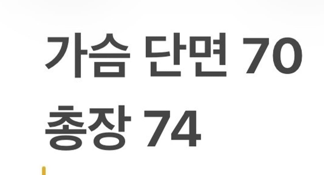 [정품/XL] 파리생제르망 네이비 화이트 아노락 b8 상품이미지8