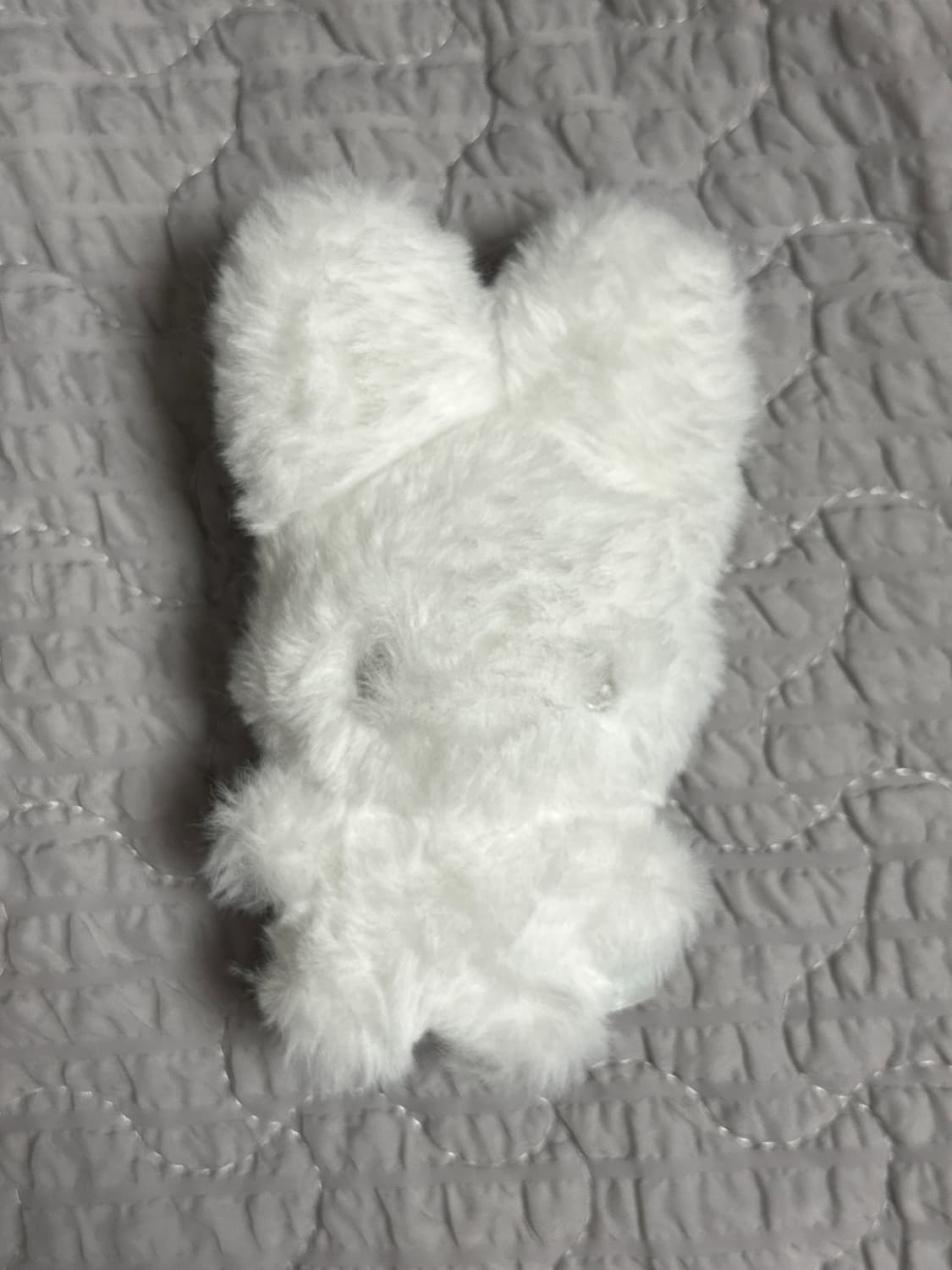 지초이 지토 jito 상품이미지1