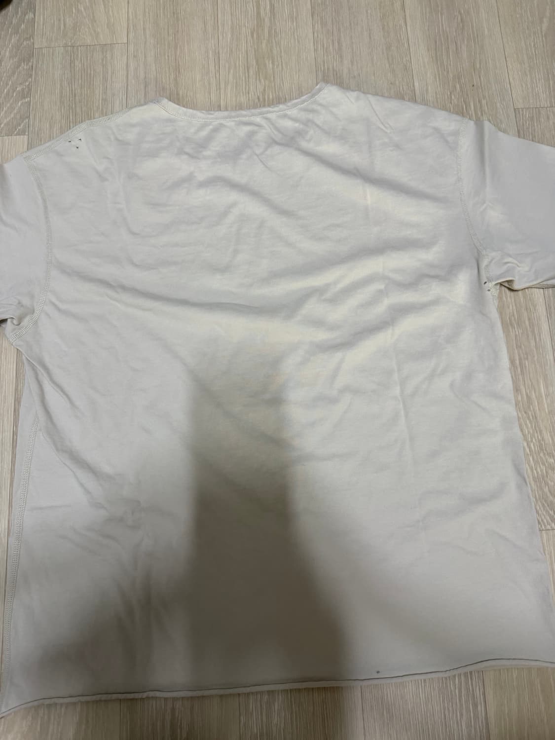 버드노트 머쉬룸티 44 상품이미지3