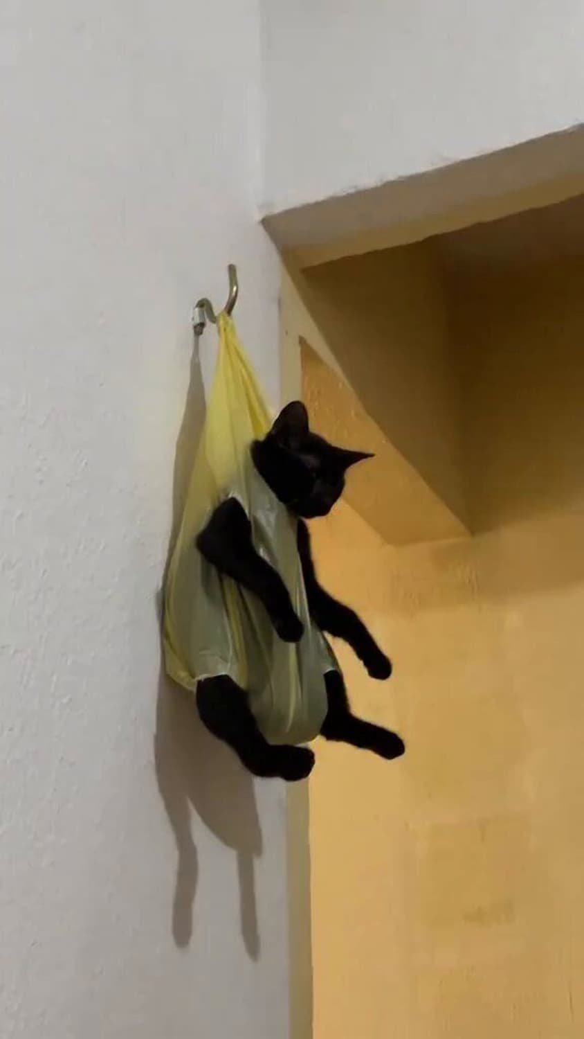 개인 결제창 상품이미지1