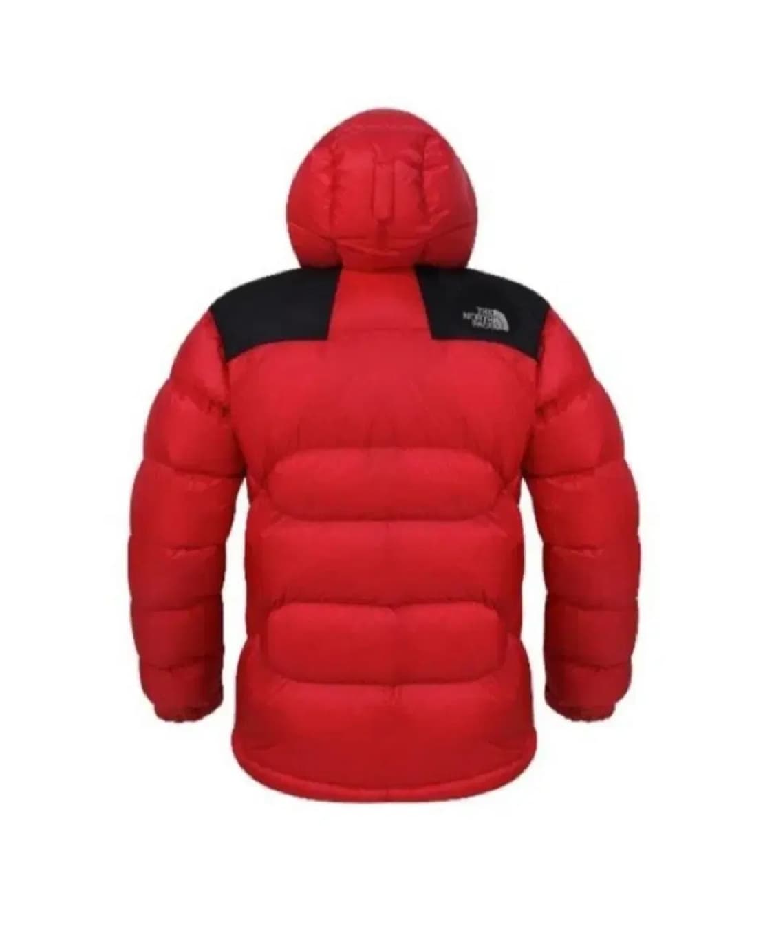 [정품] 노스페이스 써밋 시리즈 800 구스다운 패딩 (90사이즈 / S 상품이미지2