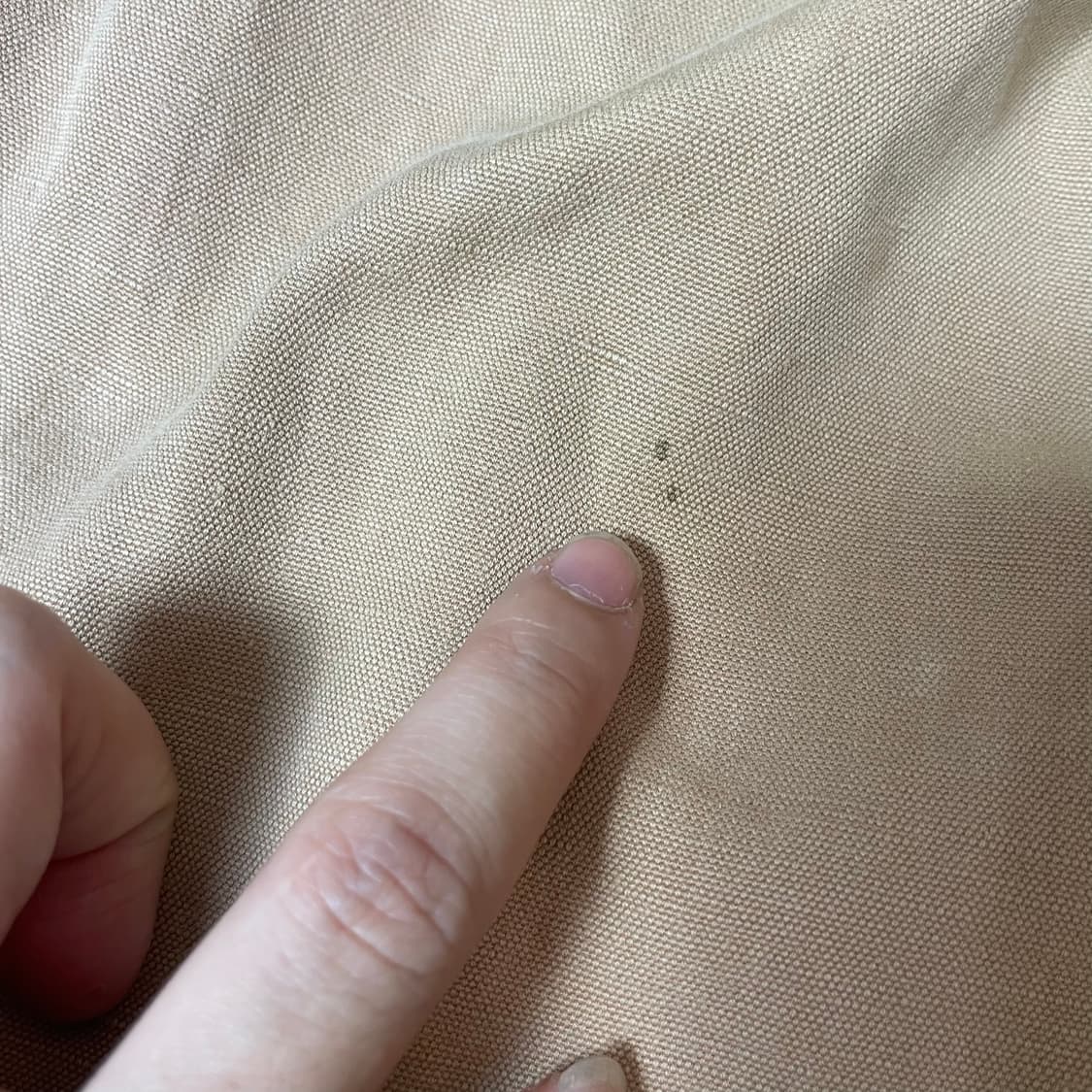 (34) 캘빈진스 빈티지 코튼 베이지 팬츠 상품이미지4