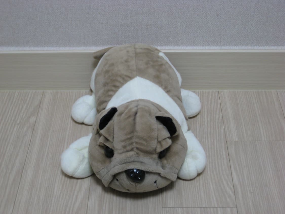 (강민경 아이브 리즈 은채) 캐논 ixus70(SD1000, IXY10) 상품이미지4