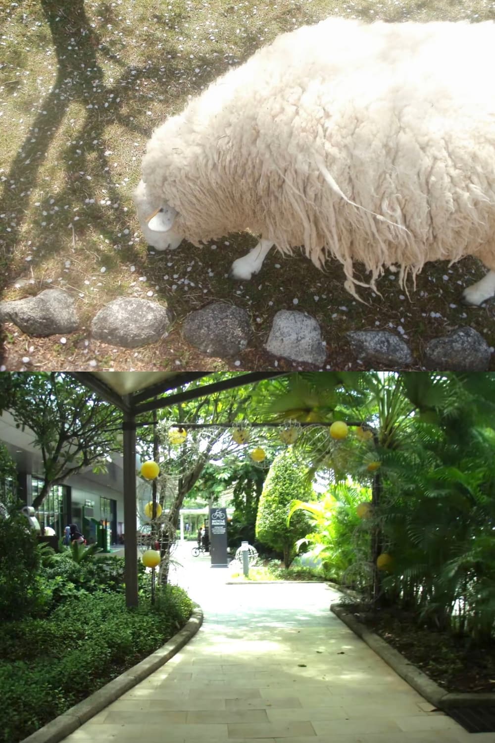 작례🫧 𖠳ᐝ올림푸스 olympus mju 725 sw 상품이미지2