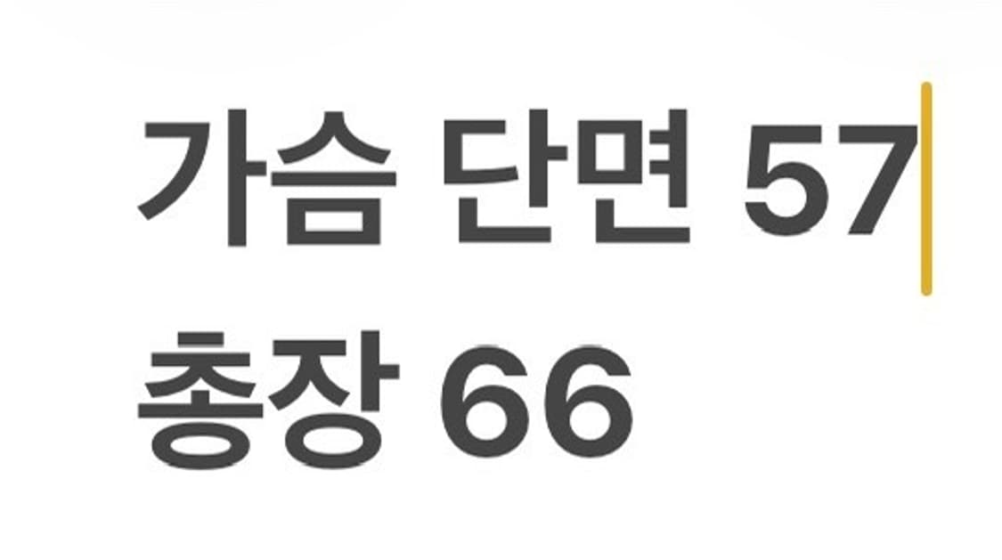 [정품/XL] 오클리 집업 재킷 그레이 b18 상품이미지7