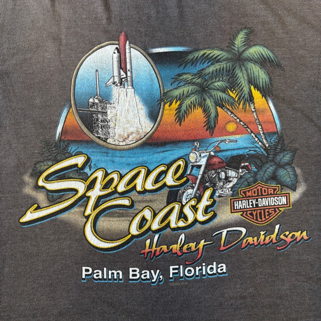 할리데이비슨 미국 생산 다크 그레이 플레임 긴팔 티셔츠 상품이미지8