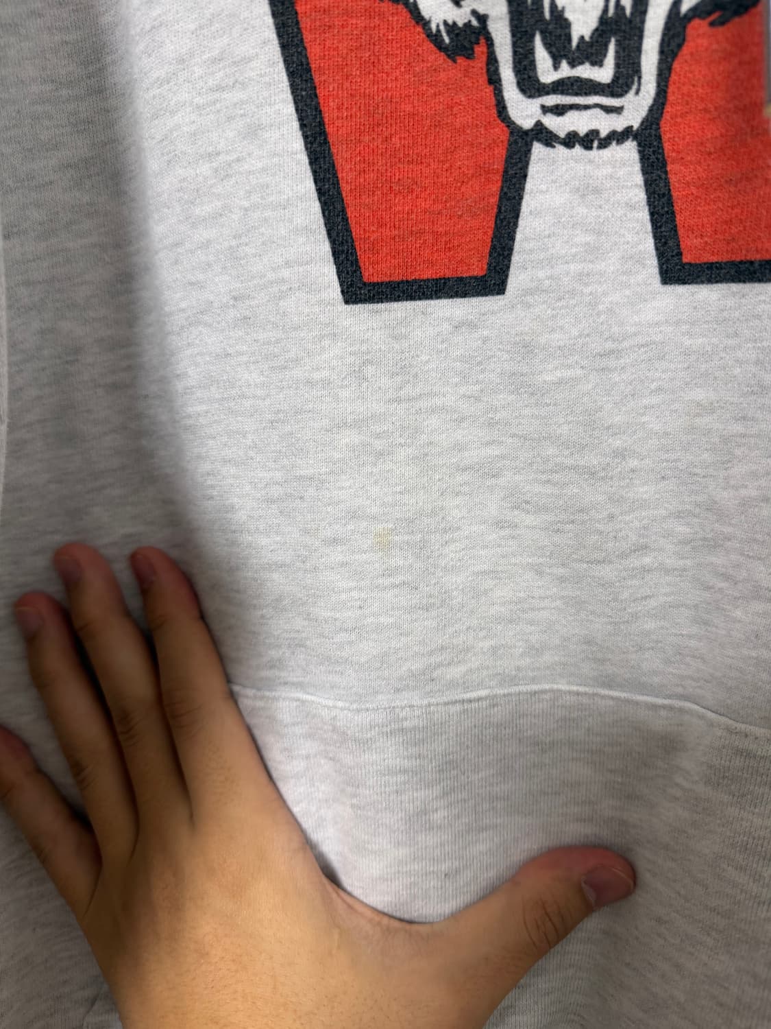 [L] 듀테로 암피스트 타이거 후드티 상품이미지4